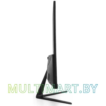 Монитор ExeGate SmartView EP2407TA (EX295525RUS) картинка 3